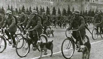 Советские противотанковые собаки в ВОВ